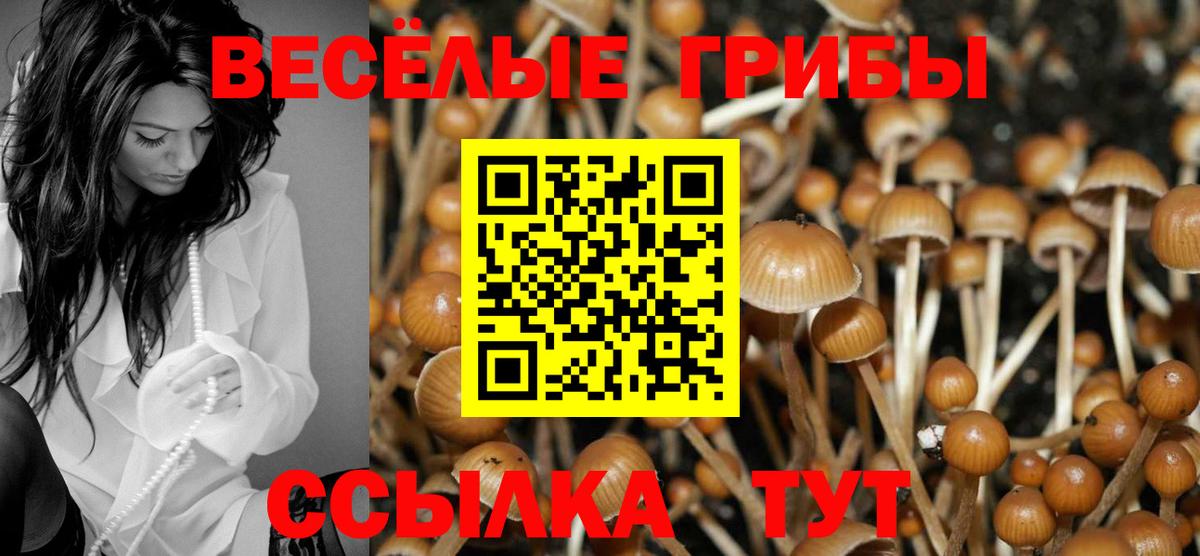 Новороссийск  Псилоцибиновые грибы Cubensis  Псилоцибиновые грибы мицелий  Вход с VPN 